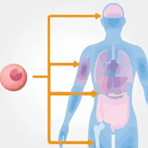 Regenerative-Medicine